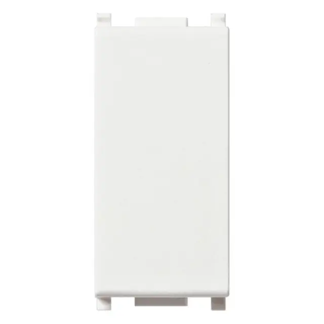 Blank module white