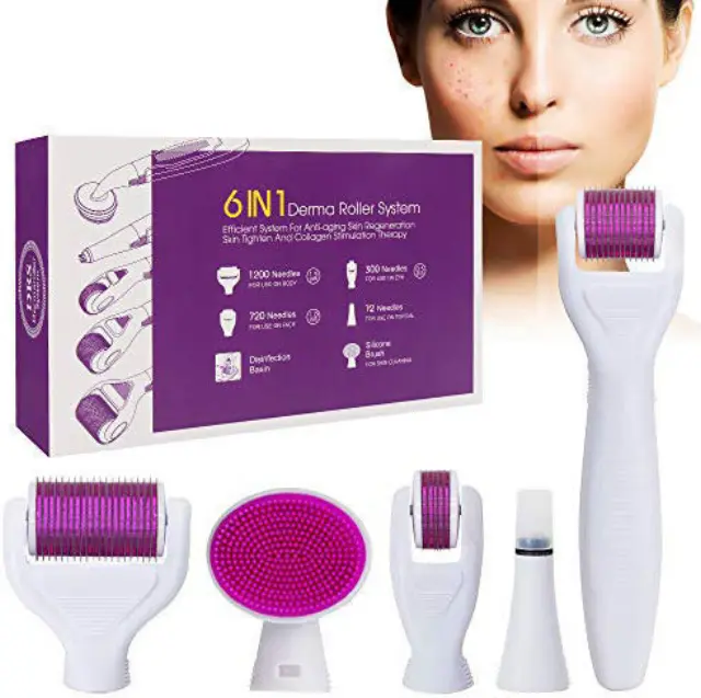 Derma Roller Σετ 6 σε 1 Βελόνες Τιτανίου 0.5-2mm 2