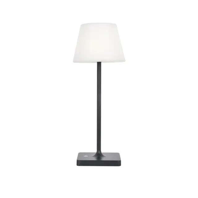 AcaLight Offer LED SMD TABLE BATTERY LUMINAIRE 2W 170LM 3.000K DARK GREY 360° CRI80 IP54