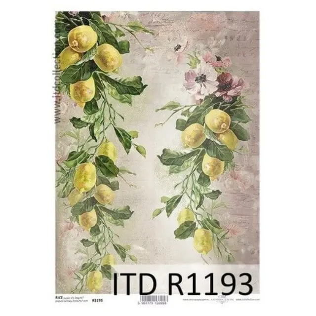 Ριζόχαρτο ITD 21x29cm, Λεμόνια, R1193
