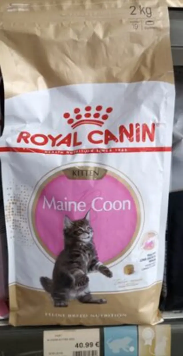 Royal Canin Fbn Kitten Maine Coon 2kg