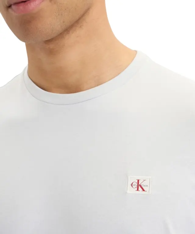 Calvin Klein - Ανδρικό T-shirt Cotton Badge Regular Fit LV04RC272G-PSX Γκρι 3