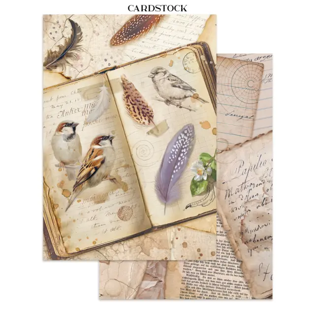 Junk journal Focus Point (cut-outs, backgrounds), All Around 3