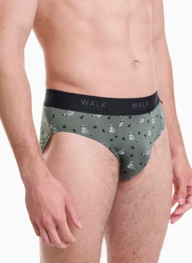 Walk ανδρικό σλιπ bamboo με σχέδιο Racoon W1775-26-1