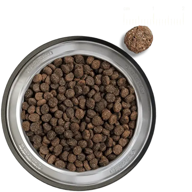 Belcando Finest GF Lamb Ξηρά Τροφή Χωρίς Σιτηρά για Ενήλικους Σκύλους Μικρόσωμων & Μεσαίων Φυλών με Αρνί 1kg 2