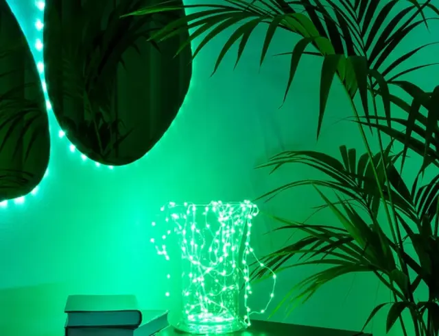 400 Smart LED RGB Twinkly Dots (TWD400STP-BEU), 20 Μέτρα, με Μαύρο Καλώδιο, Bluetooth, WiFi, Dimmer Και Έλεγχο μέσω Κινητού ΤηλεφώνουTWD400STP-BEU 3