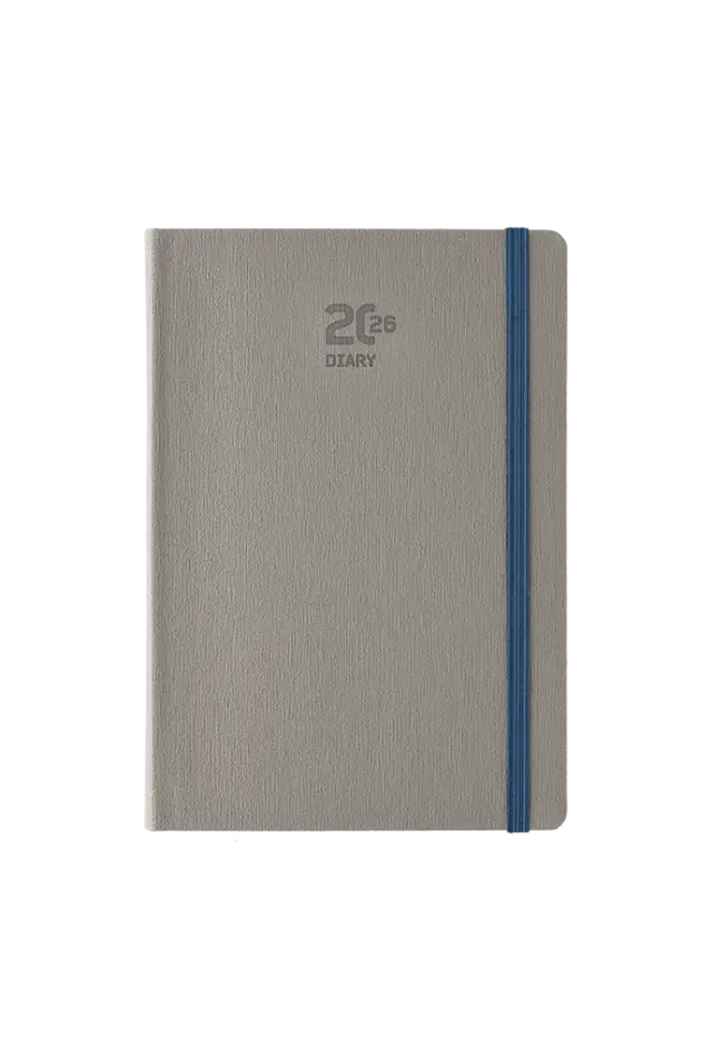 Ημερήσιο Ημερολόγιο 2026 Linio 17x24 cm Γκρι / 62124A (Linardatos Publishers)