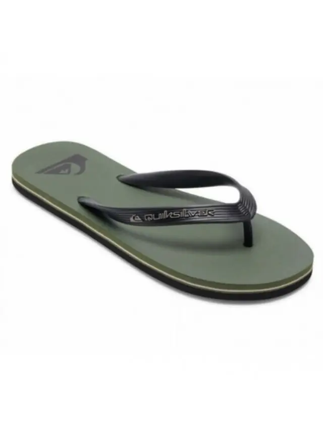 QUIKSILVER MOLOKAI CORE ΑΝΔΡΙΚΕΣ ΣΑΓΙΟΝΑΡΕΣ GREEN