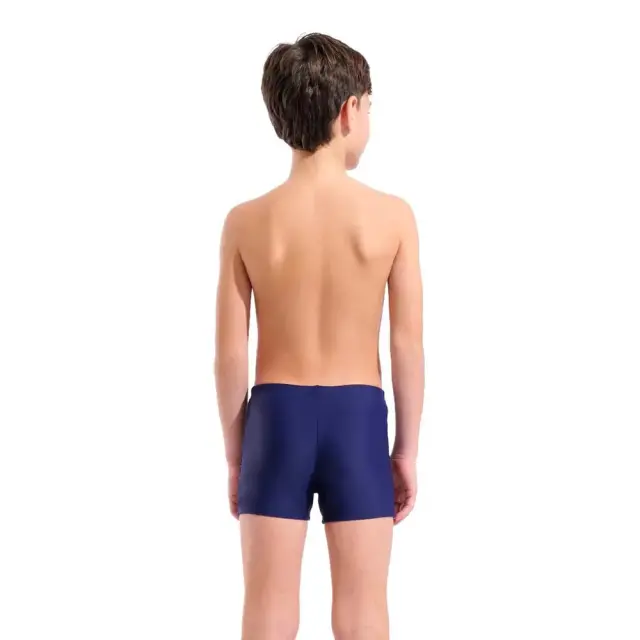 Arena Boy's Painterly Swim Shorts Μπλε Σκούρο 011801-708 (Arena) 2