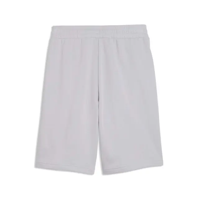 Puma Men's Essentials No1 Logo 10inch Shorts Λιλά 682595-83 (Puma) 2