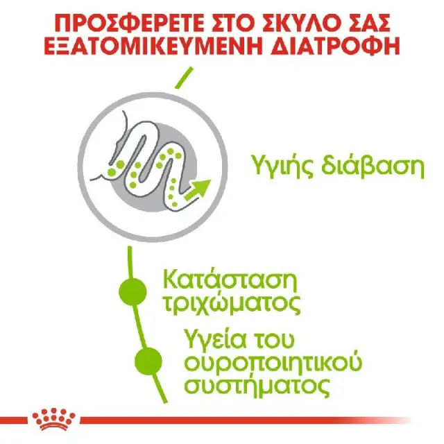 Royal Canin XSmall Adult Ξηρά Τροφή Σκύλου 3kg 3