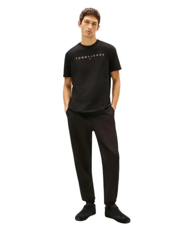 Tommy Hilfiger - Ανδρικό T-shirt Th Linear Logo C-Neck DM0DM20744-SEV Μαύρο - XL 3