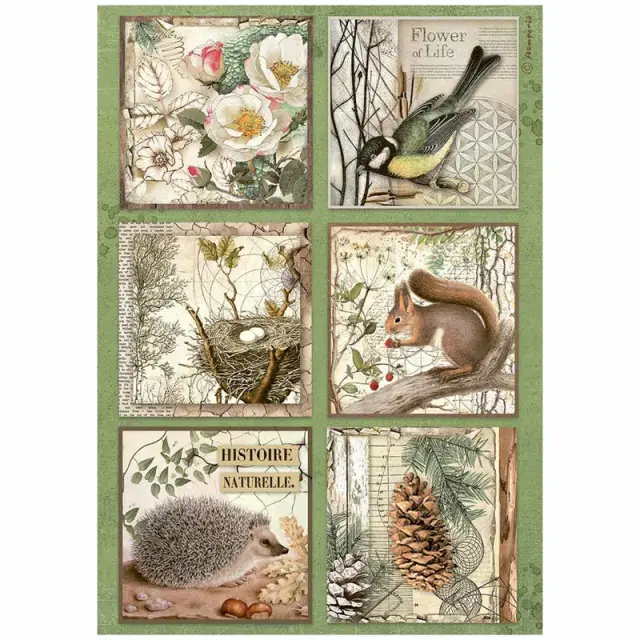 Ριζόχαρτο ντεκουπάζ Stamperia 21x29cm A4, Forest, 6 cards