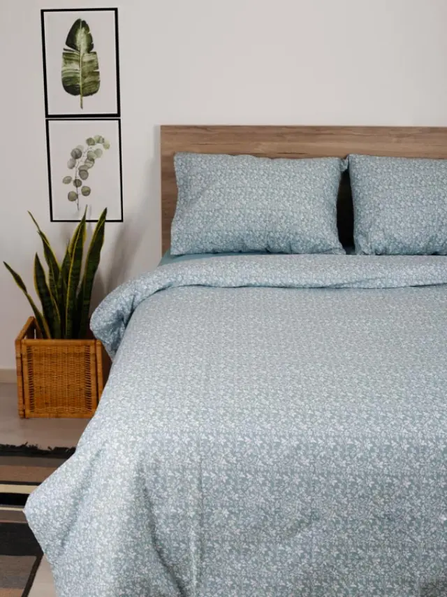 Σετ Σεντόνια Cotton Feelings 920 Aqua Μονό με λάστιχο(105x205+30) Sunshine 2