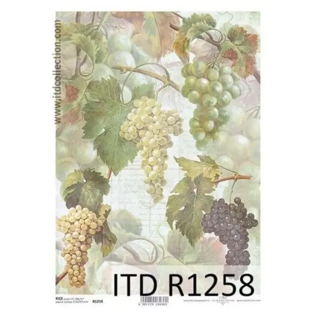Ριζόχαρτο ITD 21x29cm, Σταφύλια, R1258