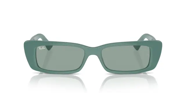 Γυαλιά Ηλίου Ray Ban TERU RB4425 676282 Μονόχρωμοι (Ray Ban) (RB4425 676282) 2