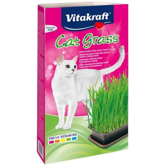 Vitakraft Cat Grass Γρασίδι για Γάτες Μονόχρωμο