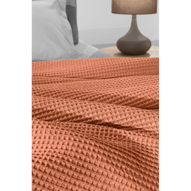 Κουβέρτα Μονή Guy Laroche Eternity Terra 160x240 3