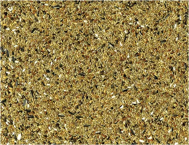 Vadigran Budgies Ολοκληρωμένη Τροφή για Παπαγαλάκια 1kg 2
