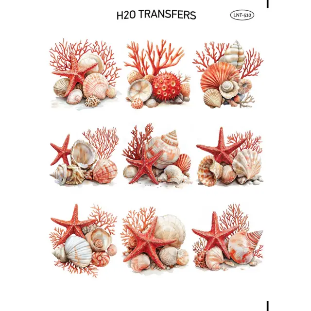 Χαρτί Easy Transfer, Αστερίες και κοχύλια, LNT-510, 25x35cm