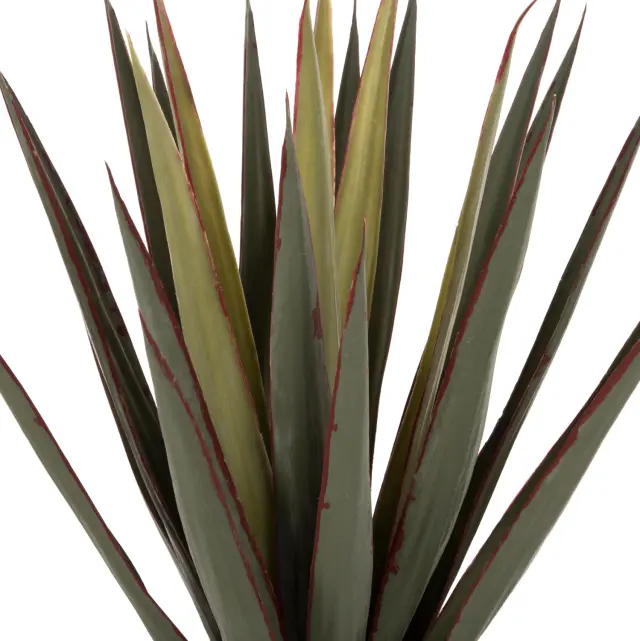 ΔΙΑΚΟΣΜΗΤΙΚΟ ΣΥΝΘΕΤΙΚΟ ΦΥΤΟ FB97985 SISAL AGAVE ΣΕ ΓΛΑΣΤΡΑ Φ13,5x13-76Υεκ. 3