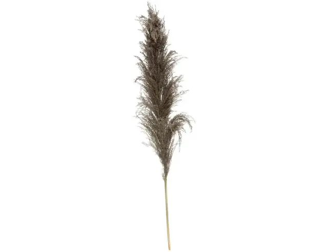 Διακοσμητικά κλαδιά Pampas Atmosphera - 109cm - 3 τεμάχια 179282B