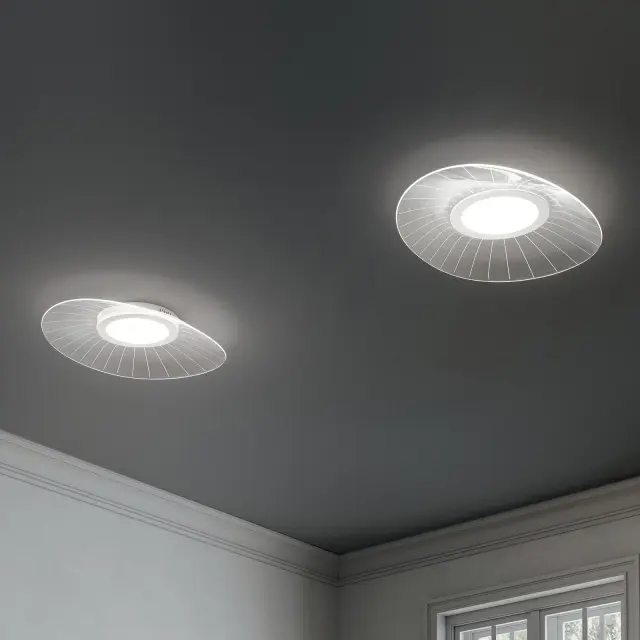 Vela 3625-65 φωτιστικό οροφής oval 55x78 Άσπρο 3