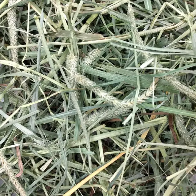 Oxbow Χόρτο Μείγμα Hay Blends 2,55Kg Μονόχρωμο 2