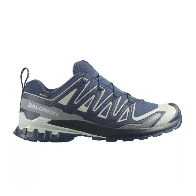 Salomon Men's XA Pro 3D V9 Gore-Tex Μπλε Σκούρο 491992 (Salomon)