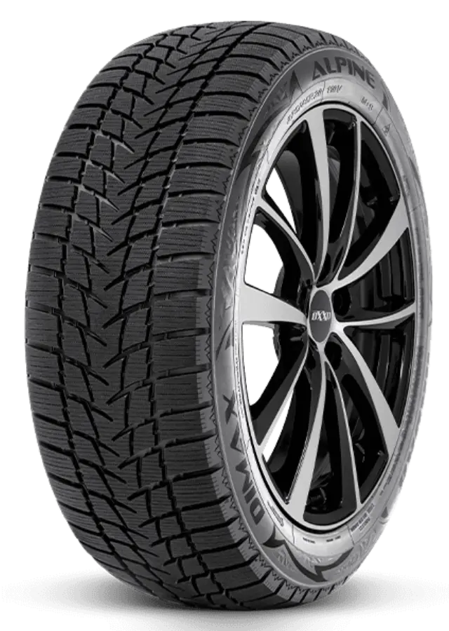 225/55R17 97V Radar Dimax Alpine