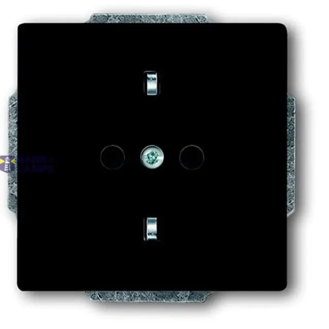 20 EUC-81 CoverPlates (partly incl. Insert) future®, Busch-axcent®, carat®; Busch-dynasty® Anthracite