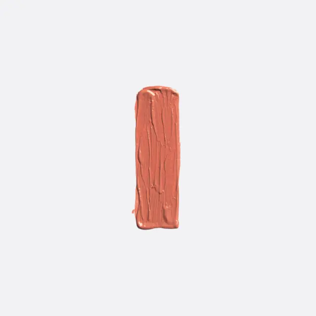 Elixir Forever Lip Mat Κραγιόν 214