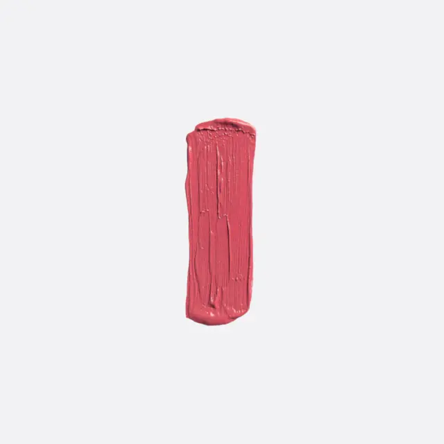 Elixir Forever Lip Mat Κραγιόν 217