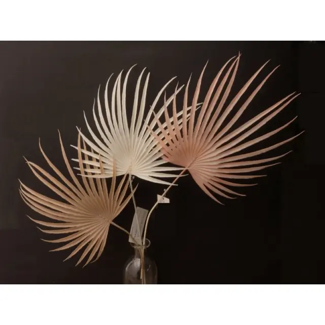 Κλαδί φοίνικα τεχνητό, ροζ, 48cm 2