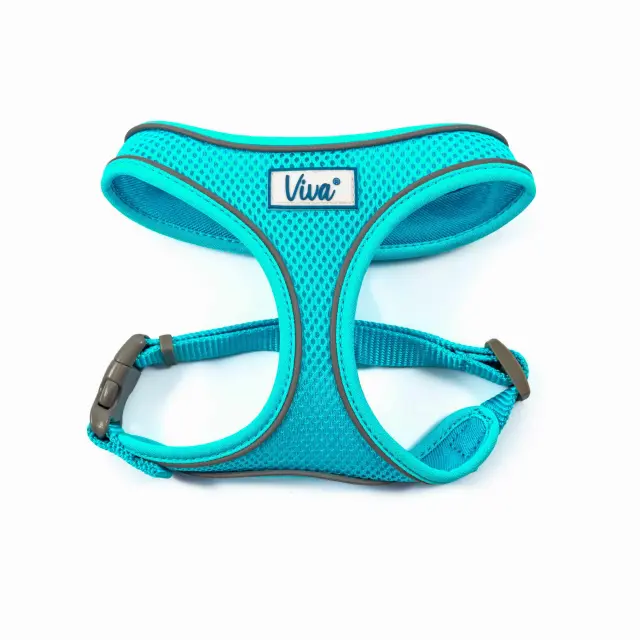 Ancol Περιστήθιο Mesh Comfort Ανακλαστικό Τιρκουάζ Μ 44 57 cm Τιρκουάζ