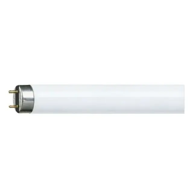 Fluorescent Lamp T8