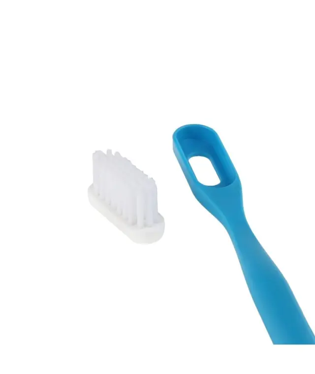 Lamazuna Toothbrush Replacement Heads Medium – Ανταλλακτικές Κεφαλές Οδοντόβουρτσας Medium, 3 τεμ. 2