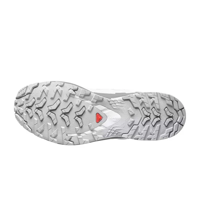 Salomon Men's XA Pro 3D V9 Gore-Tex Γκρι 491991 (Salomon) 3