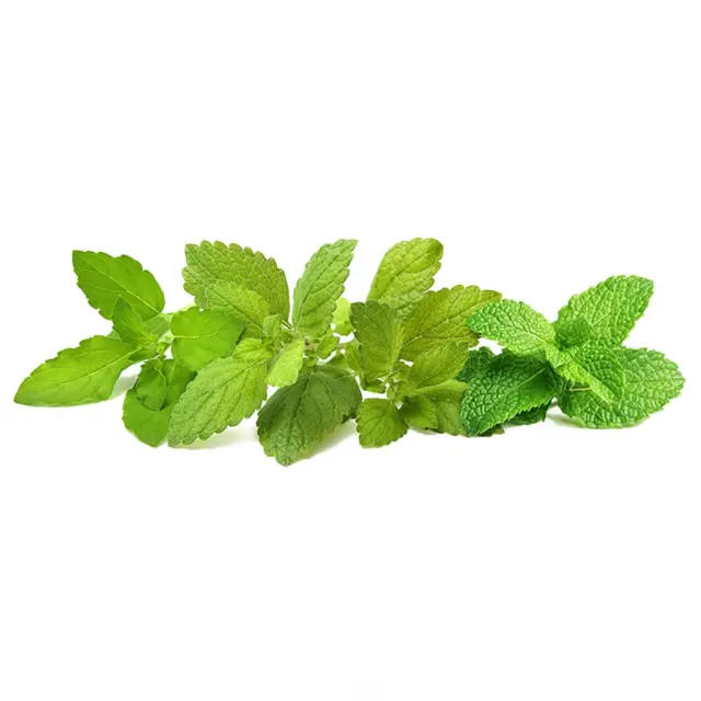 Click and Grow Συσκευασία Σπόρων με Χώμα, για Μείγμα Χαλαρωτικού Τσάι – 9τμχ
