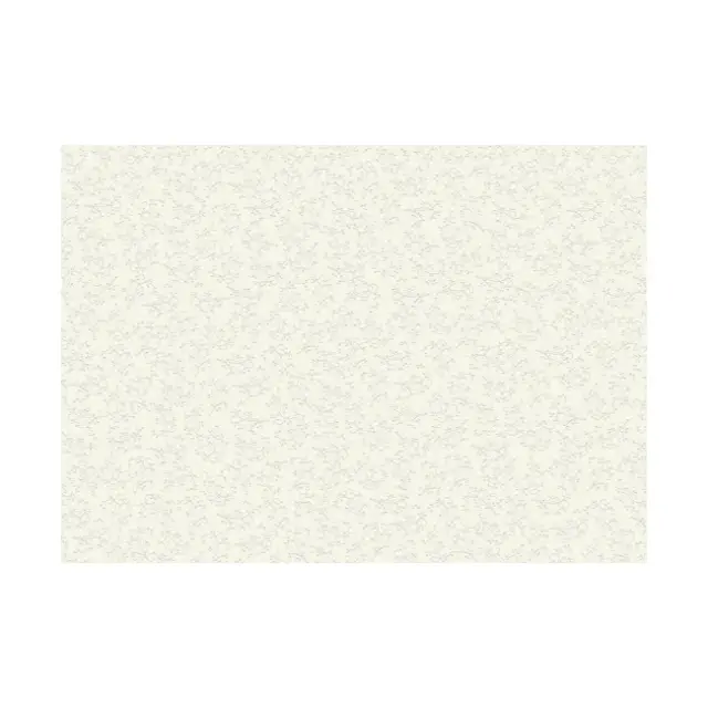 Heyda Χαρτόνι 50x70cm Λευκό με Χρυσά Κλαδιά (20-4771857)