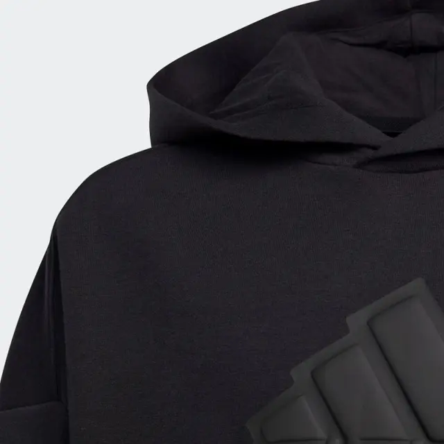 Adidas Future Icons Logo HD Παιδικό Φούτερ μαύρο HR6301 1020 - 15-16 χρονών 3