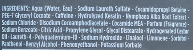 SYOSS Shampoo 440ml For Men power 2