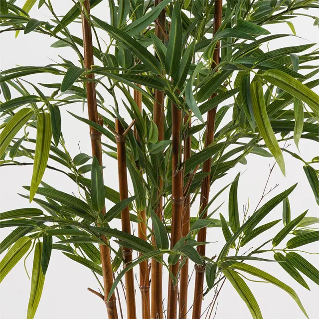Διακοσμητικό φυτό σε γλάστρα Rhapis Palm Inart πράσινο Φ80x180εκ 2