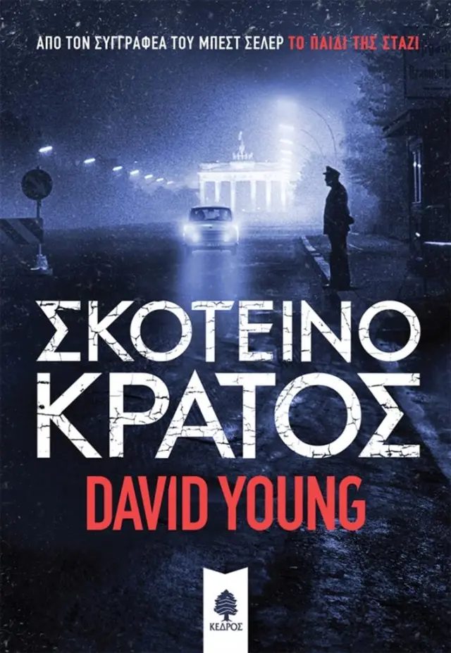 Σκοτεινό κράτος / David Young (Κέδρος)