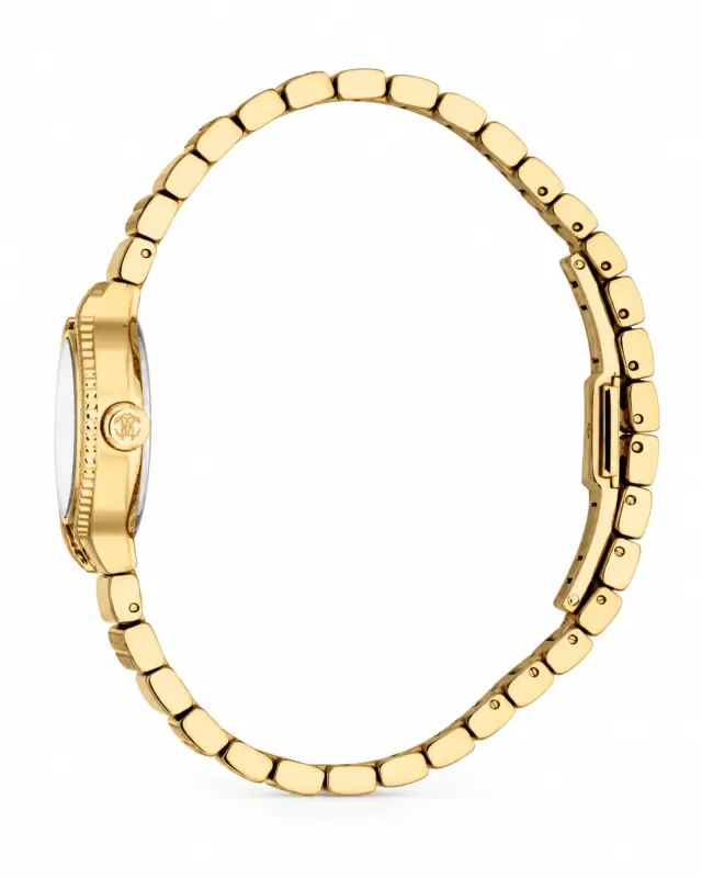 Roberto Cavalli Lady RC5L155M0055 Γυναικείο Ρολόι 24mm Χρυσό με Ασημί Καντράν - One Size 2