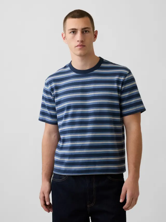 Ανδρική Μπλούζα Heavyweight Cropped Γραμμής NAVY STRIPE
