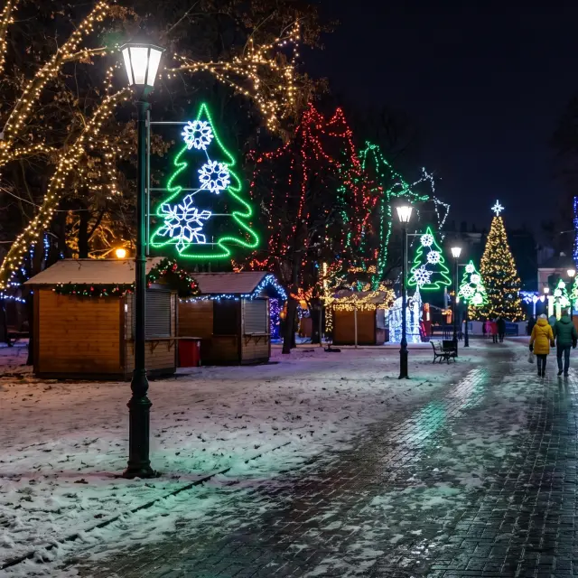 ΕΠΙΣΤΗΛΟ XMAS ΔΙΑΚΟΣΜΗΤΙΚΟ ΜΟΤΙΒΟ ΔΕΝΤΡΟ 24m ΛΕΥΚΟ & ΠΡΑΣΙΝΟ ΜΟΝΟΚΑΝΑΛΟΣ ΦΩΤΟΣΩΛΗΝΑΣ 1,5m ΚΑΛΩΔΙΟ IP65 1850x900x50mm / XPOLETREE 2