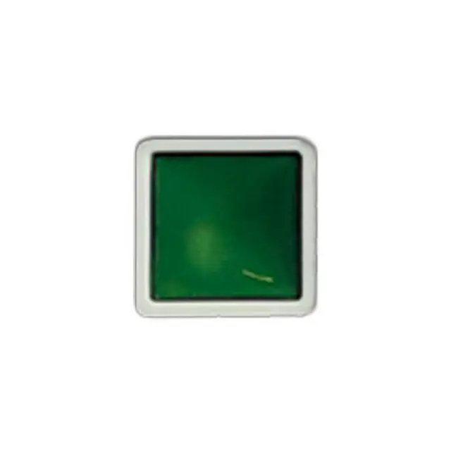 Παστίλια ακουαρέλας 0,5ml Stamperia, Leaf Green