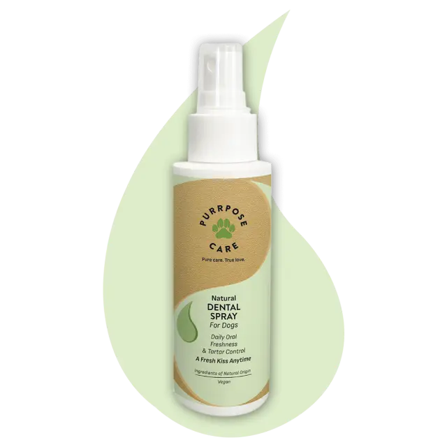 PURRPOSE CARE Dental Spray - Σπρέι Οδοντικής Φροντίδας 100ml