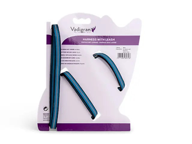 Vadigran Reflect Σαμαράκι & Λουρί Γάτας Μπλε 22-32cm/120cm 2